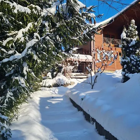Pryvitannya Sontsyu Guest house