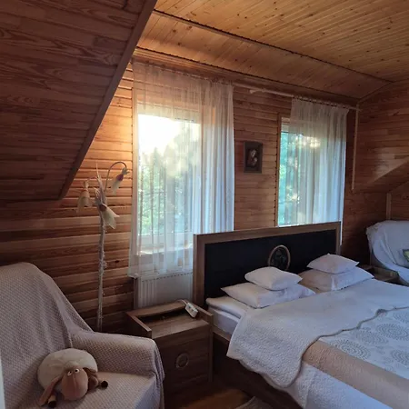 Pryvitannya Sontsyu Guest house *